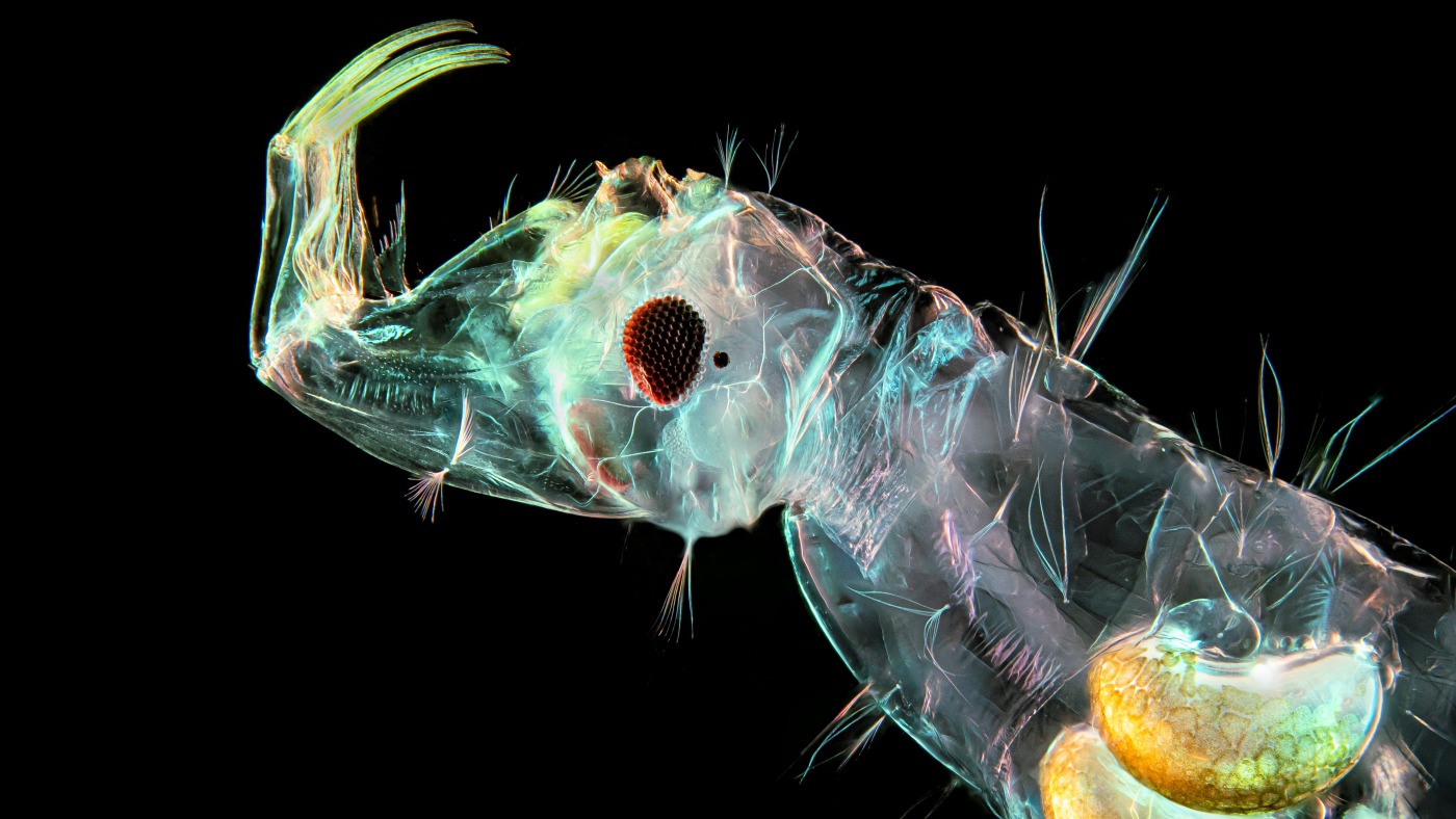 Featured image for Unveiling the Hidden Virus: Why Experts Are Concerned