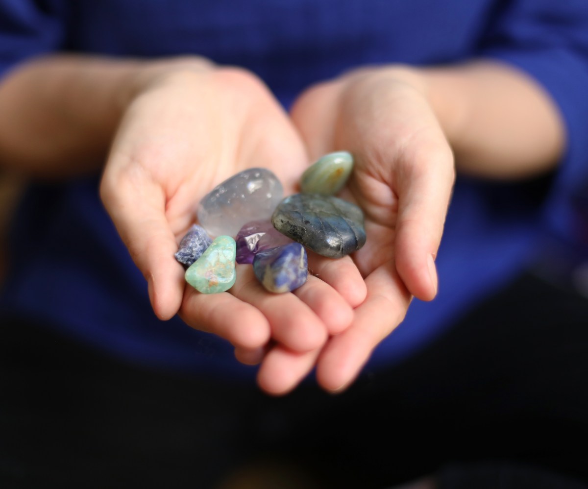 Featured image for "Google Unveils Gemma: A New Open AI Model for Developers"