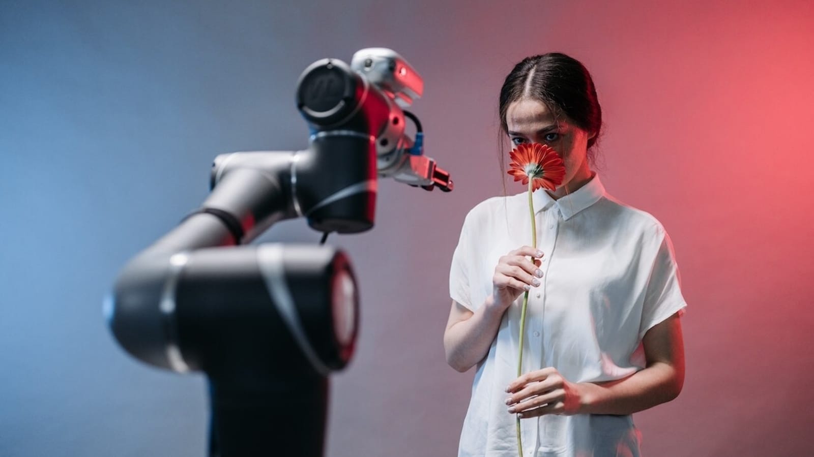 Featured image for "MIT Professor Warns of Catastrophic Consequences of Ignoring AI Advancements"