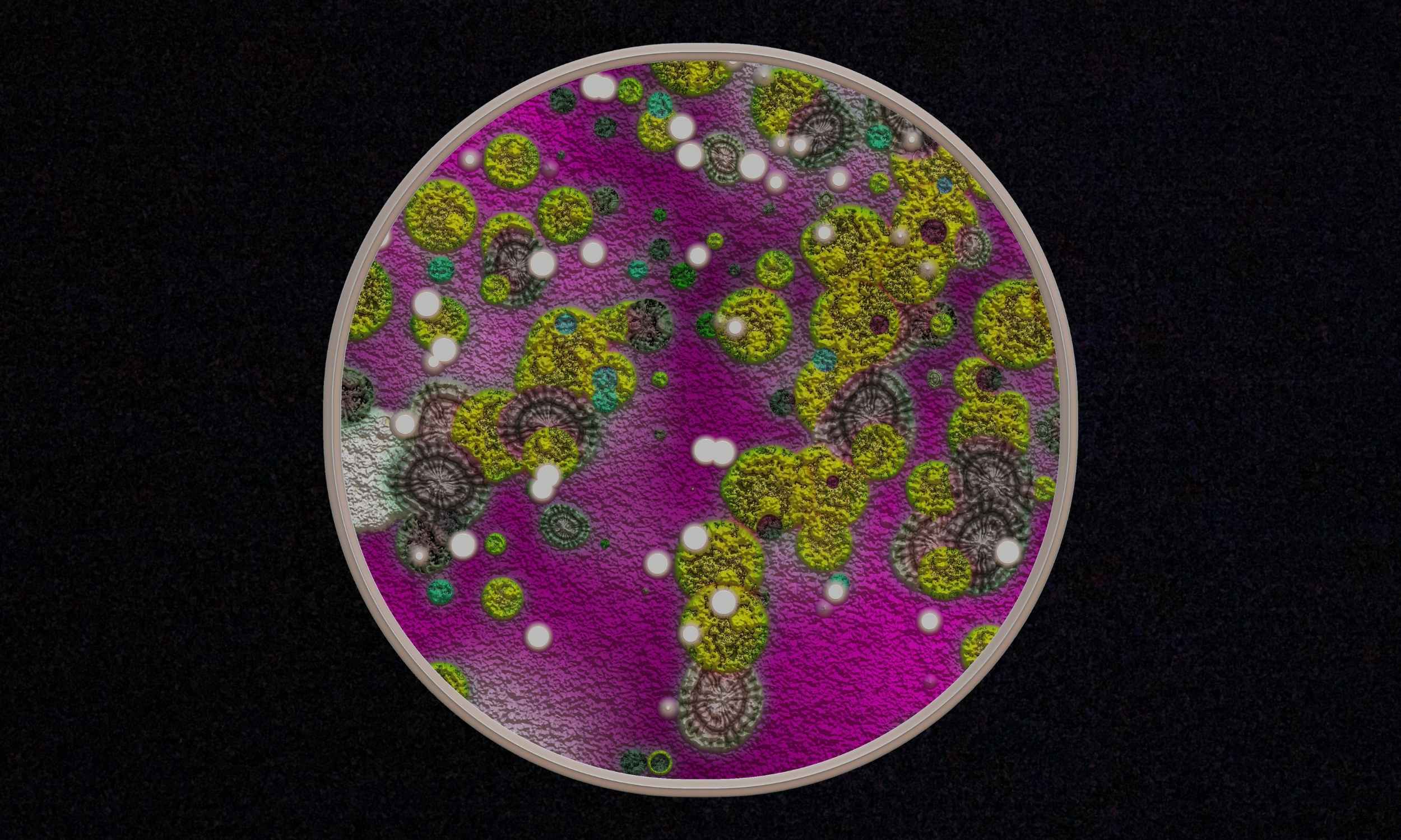 Featured image for Gold-Eating Fungus Aids in Metal Discovery on Earth and Space