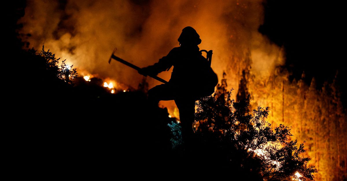 "Tenerife Wildfires: Thousands Evacuated as Out-of-Control Blaze Engulfs Spanish Island"