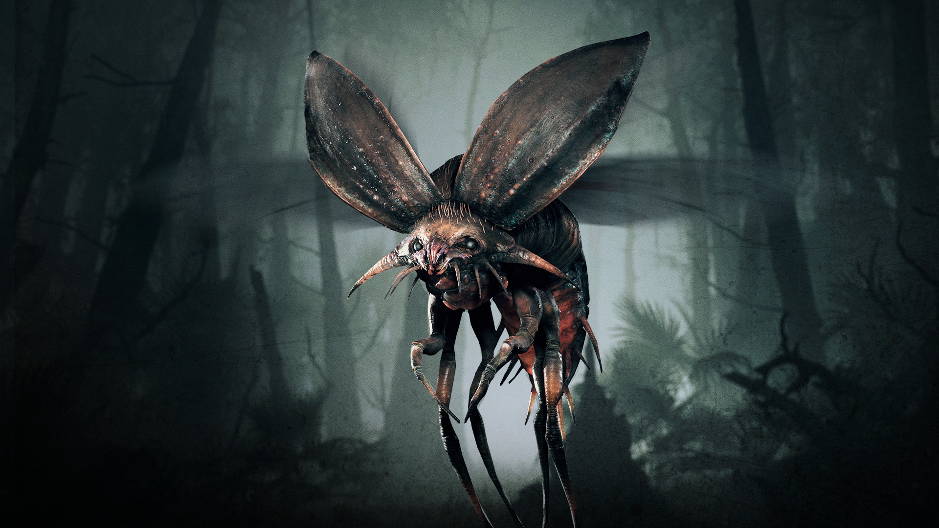 Featured image for Latest Developer Update: Bug Fixes in Version 2.1.1