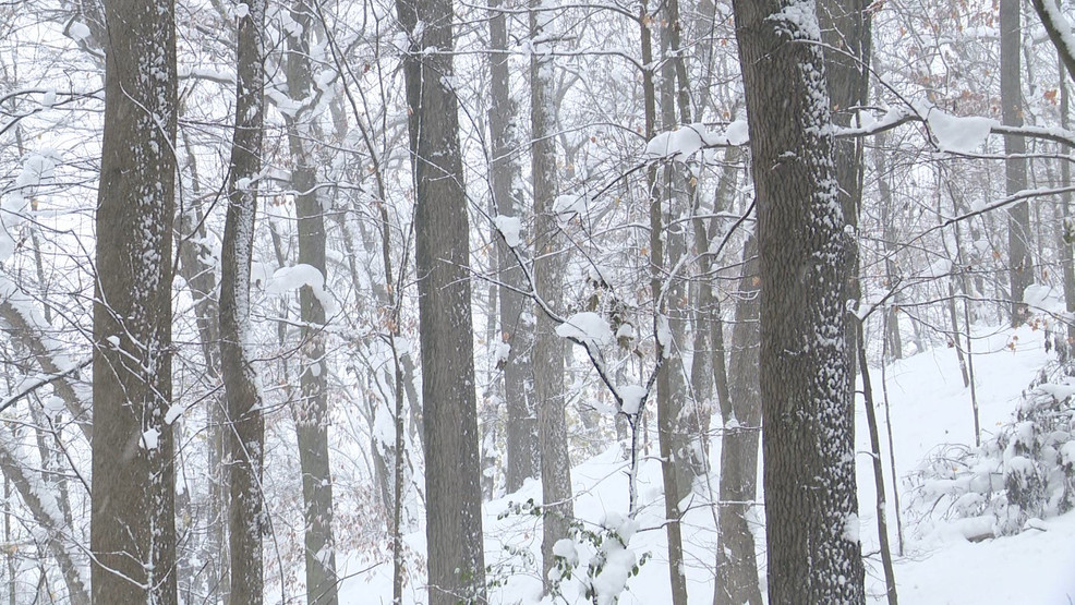 "Cooler Weather and New Year's Snow Showers Sweep Across Michigan"