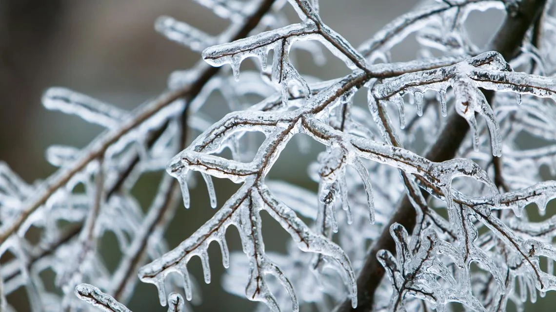 Charlotte Faces Potential Historic Ice Storm Fueled by 2002 Remembrance