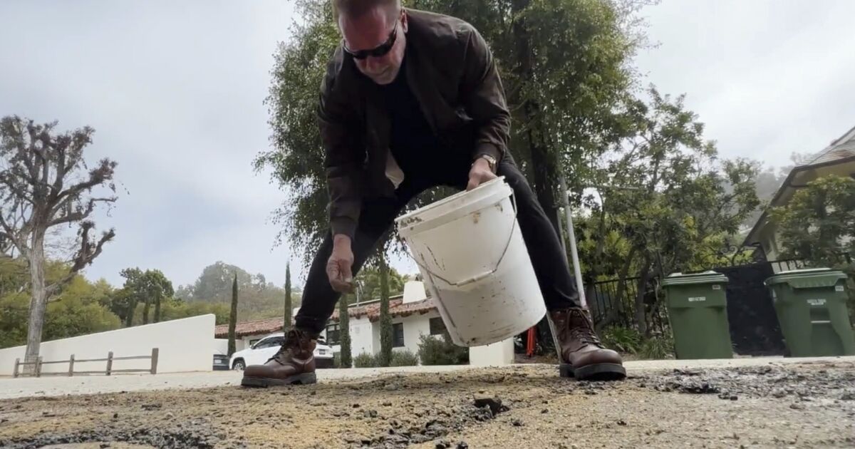 Featured image for Arnold Schwarzenegger Takes Action to Fix Pothole in Neighborhood