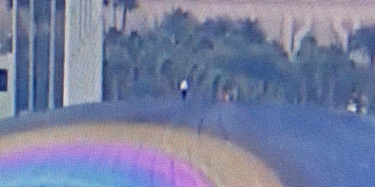 "Las Vegas Man Arrested for Climbing to Top of Sphere Venue"