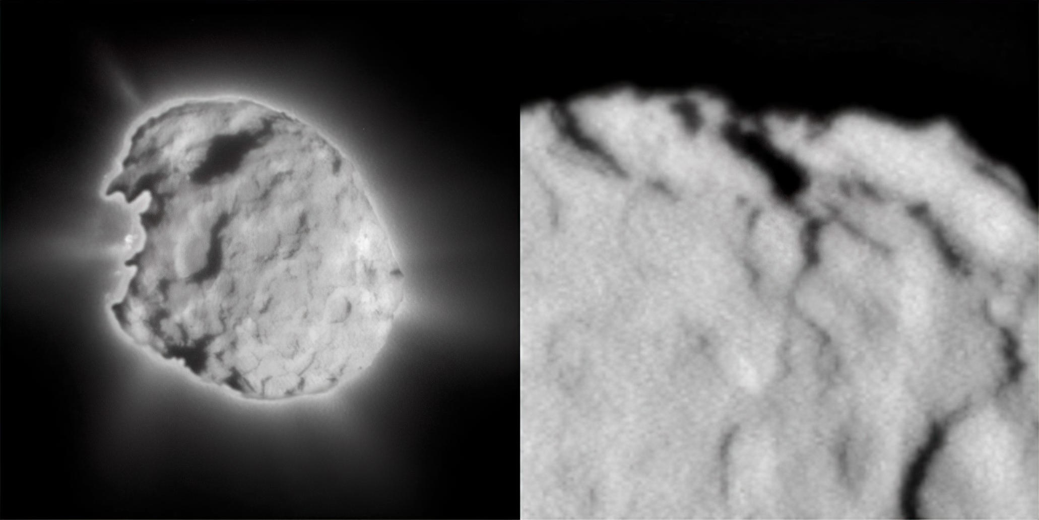 "Revealing the Unprecedented Secrets of Comet Wild 2"