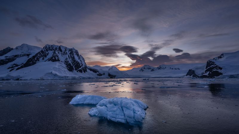 Unraveling the Mystery of Antarctica's Vanishing Sea Ice