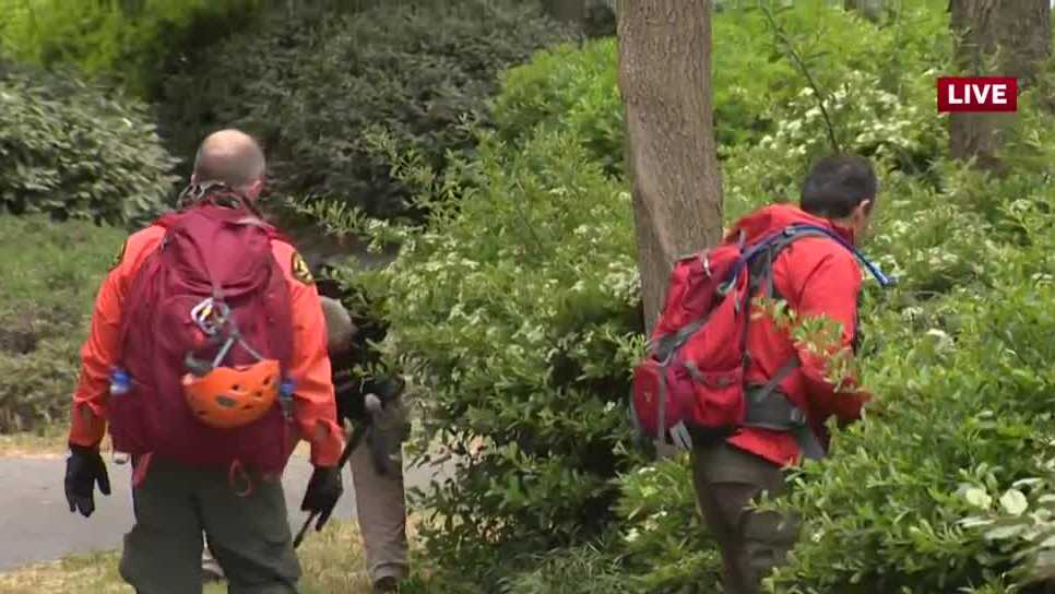 UC Davis student found stabbed to death in California park, FBI joins investigation.