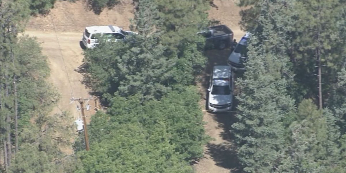 Fatal bear attack in Yavapai County leaves one dead.