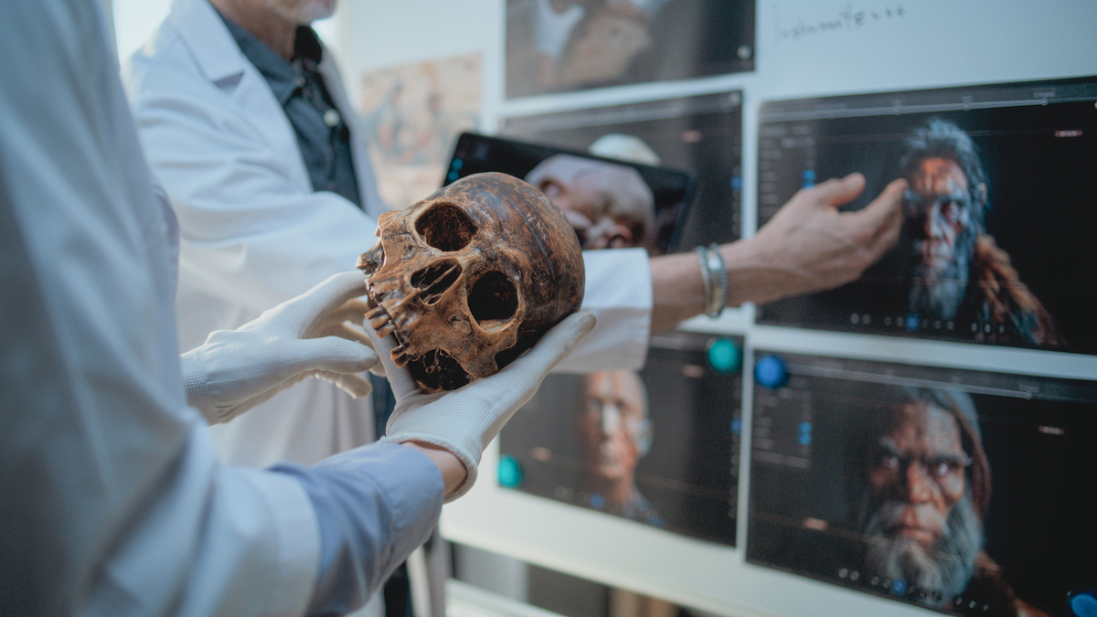 Featured image for Ancient Lead Exposure and Its Impact on Human Evolution and Success