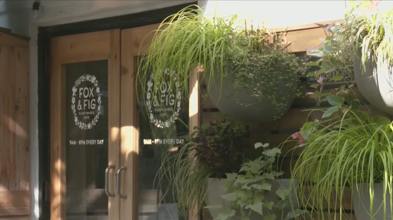 Mass Termination: Savannah Café Workers Sacked Following Strike