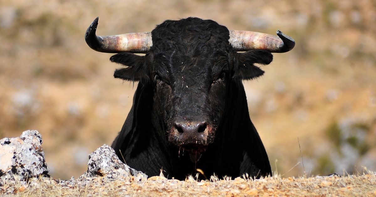 Bitcoin Surges as Bulls Anticipate ETF Approval and Clear Hurdles