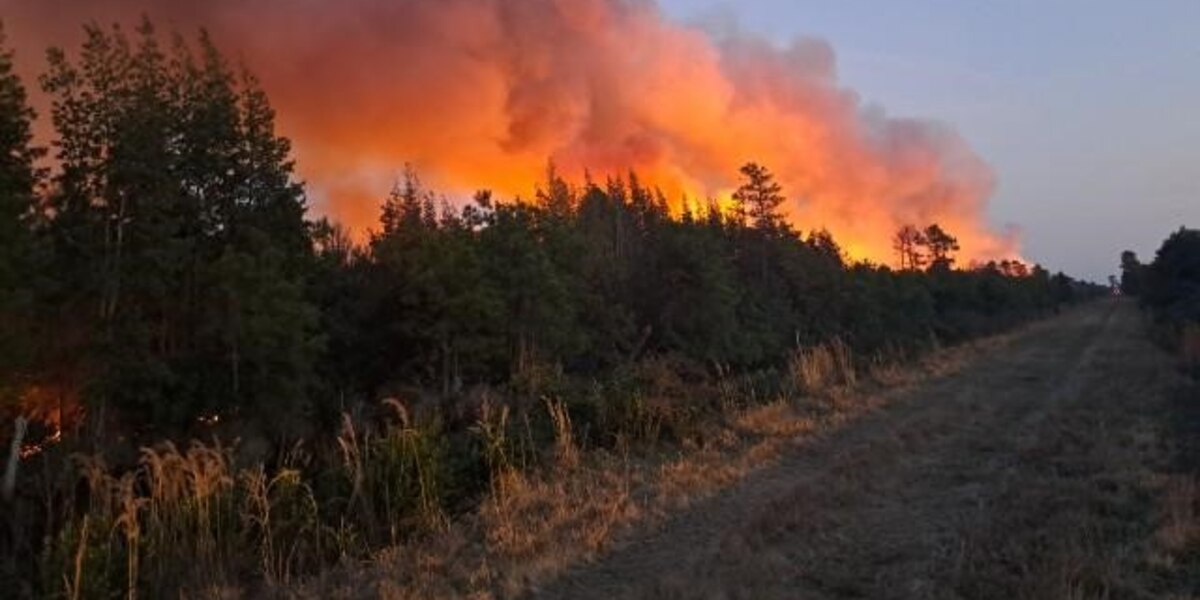 Tyrrell County Wildfire Reaches 34% Containment at 5,200 Acres.