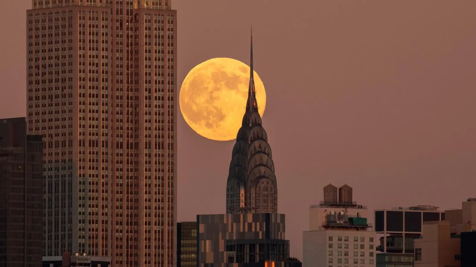 Featured image for November 2025: The Year’s Largest Supermoon and Meteor Showers