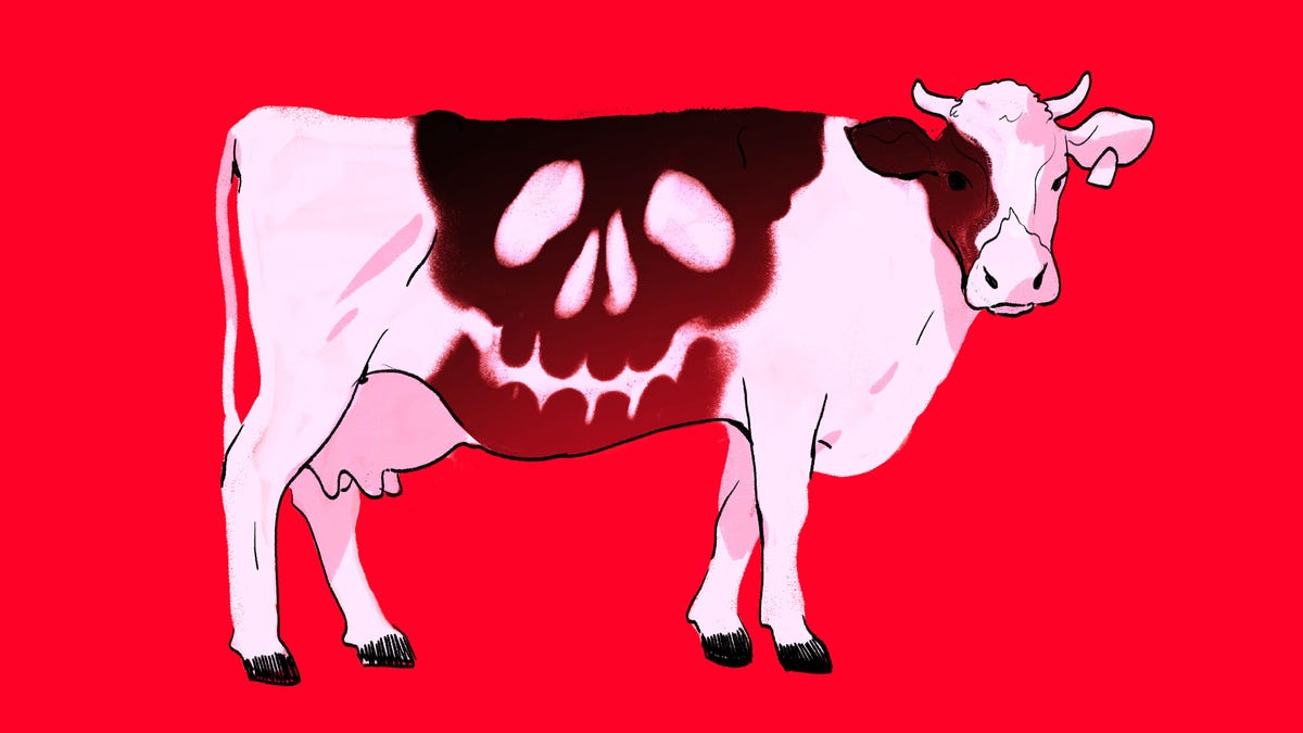 Featured image for "The Lingering Mystery of Mad Cow Disease"