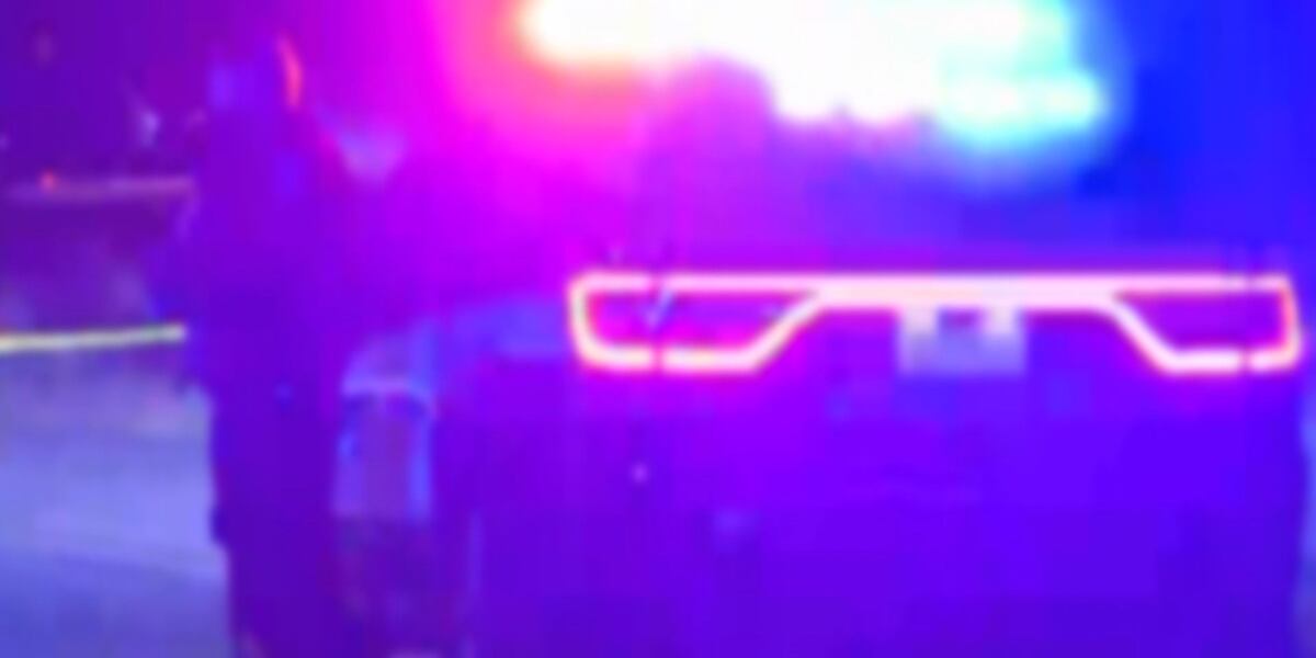 Fatal Shooting of Security Guard in New Orleans Bar