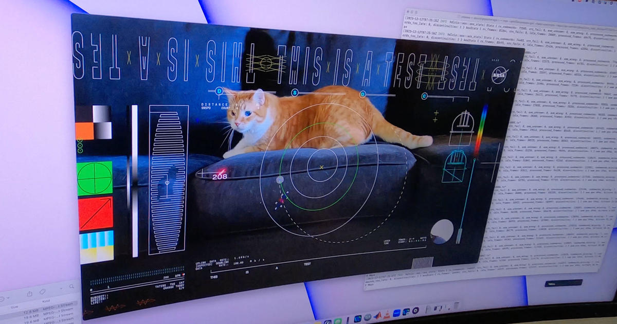 Featured image for NASA's Laser Beams Ultra-HD Cat Video Over 19 Million Miles