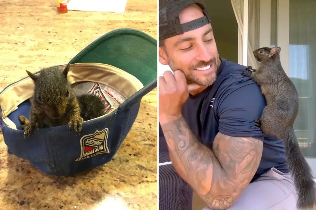 Featured image for Controversy Erupts Over Euthanized Squirrel in New York