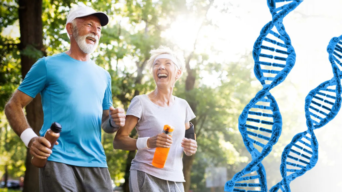 "Genetic Influence on Aging in Blue Zones: Insights from a New Study"