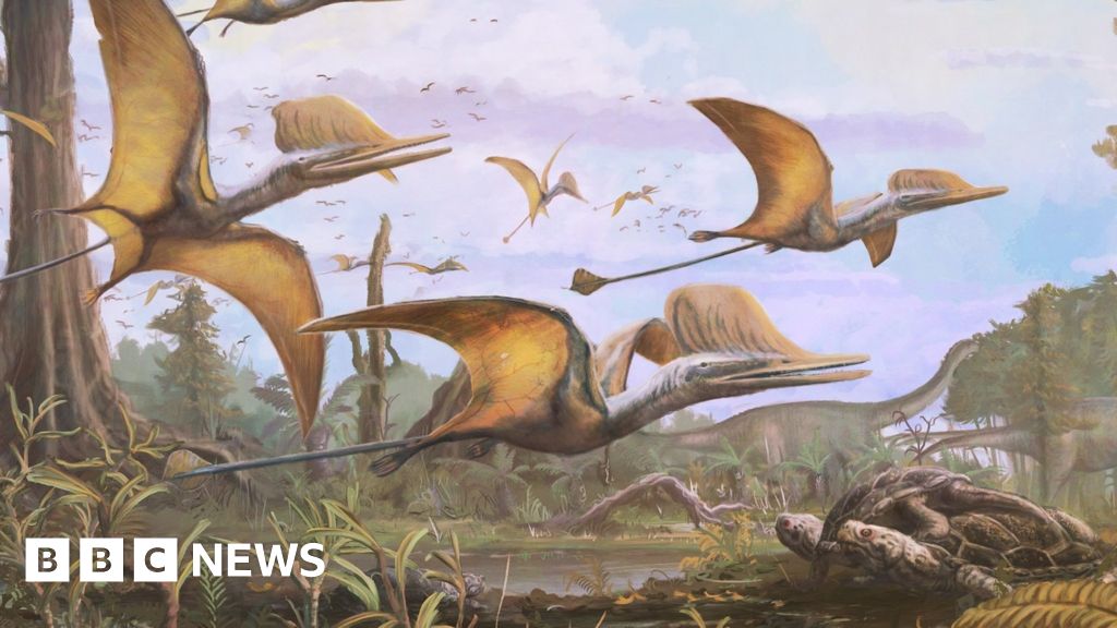 Featured image for "Discovery of New Pterosaur Species Soars Above Isle of Skye"