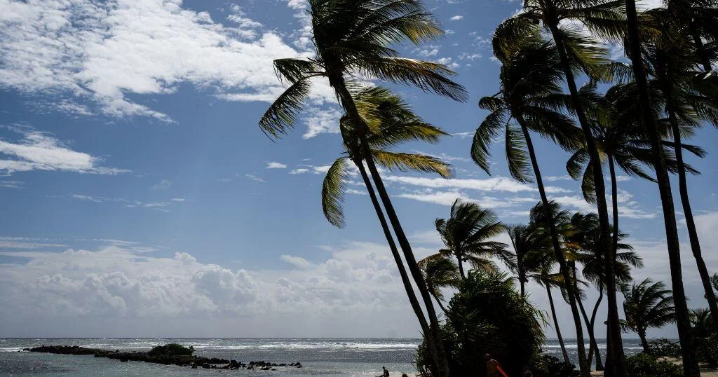 Featured image for French Scientists Discover New Blood Type in Guadeloupe Woman