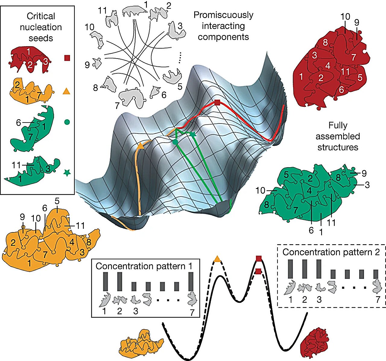 Featured image for "Uncovering Neural Network-like Abilities in Physical Processes through Self-Assembling DNA Recognition"