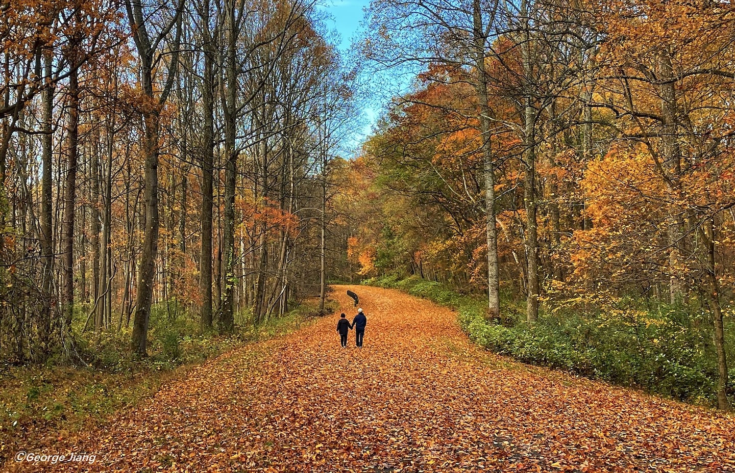 Featured image for November Weather Outlook: Chilly Start, Warmer Weekend Ahead