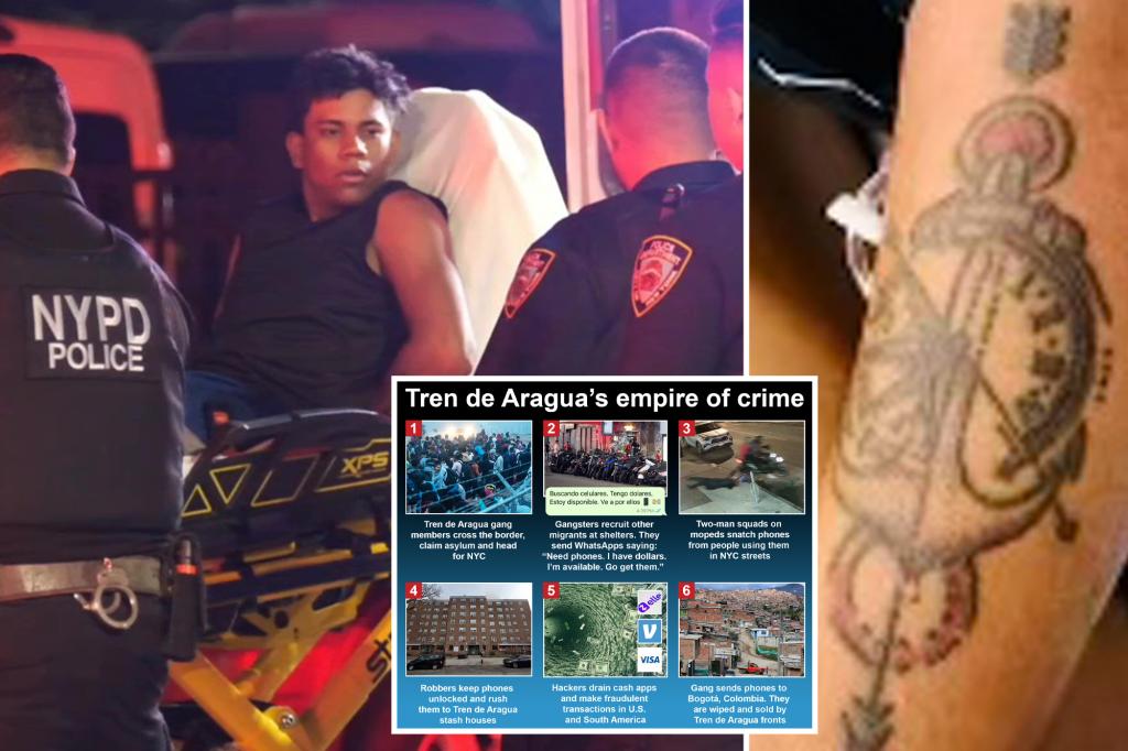Featured image for Migrant Gang Member Accused of Shooting 2 NYPD Officers in Queens