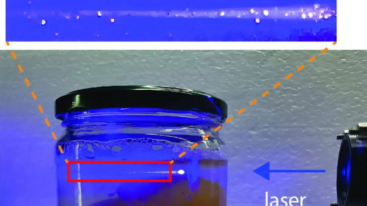 Featured image for Edible Microlasers as Food Safety Barcodes and Biosensors