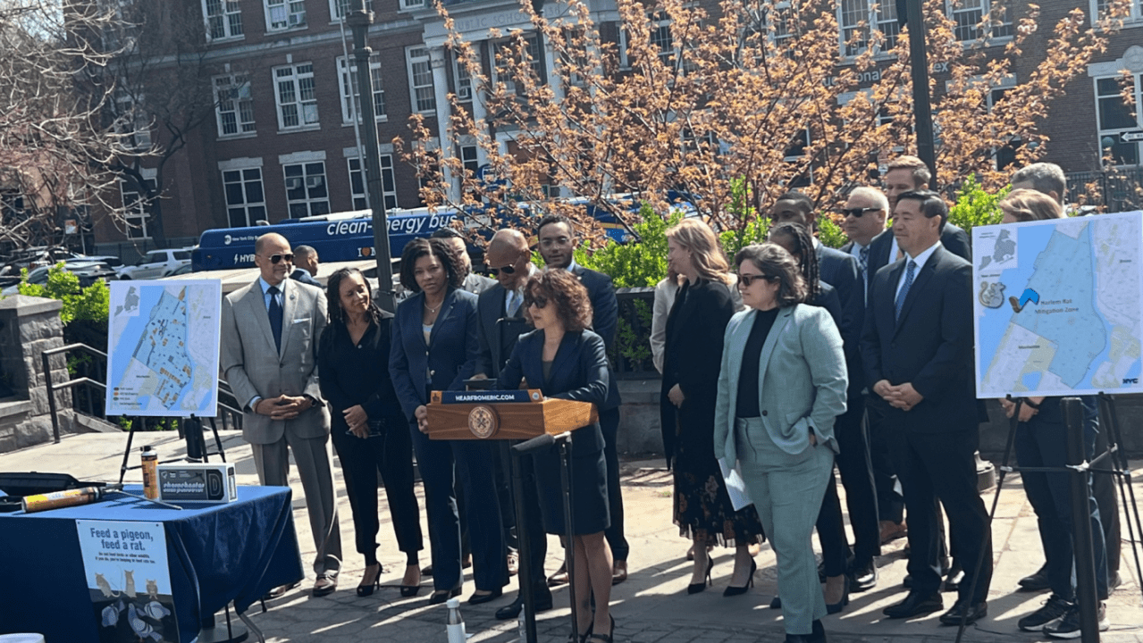 Featured image for Former teacher beats out 1,000 applicants to become NYC's first 'rat czar'