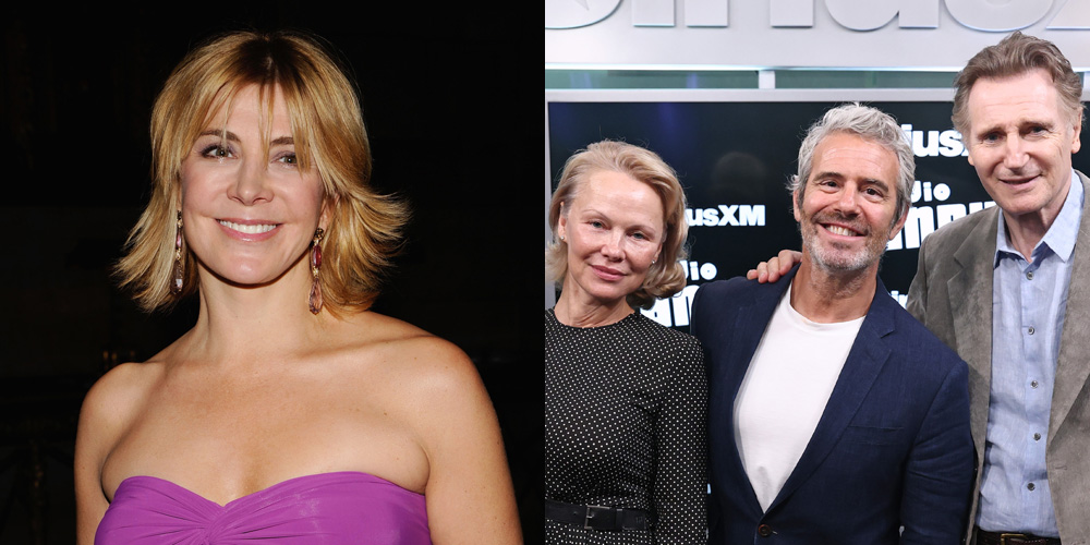 Liam Neeson and Pamela Anderson's Romance Sparks Reactions and Comparisons