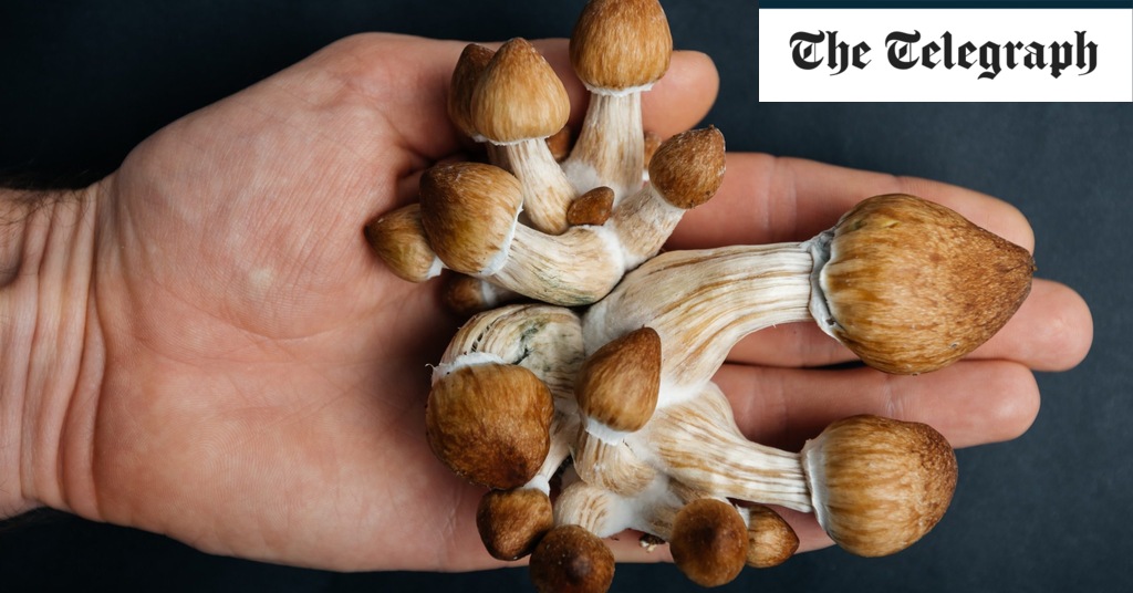Featured image for "Psychedelic Benefits: Magic Mushrooms Enhance Long-Term Sexual Satisfaction, Study Shows"
