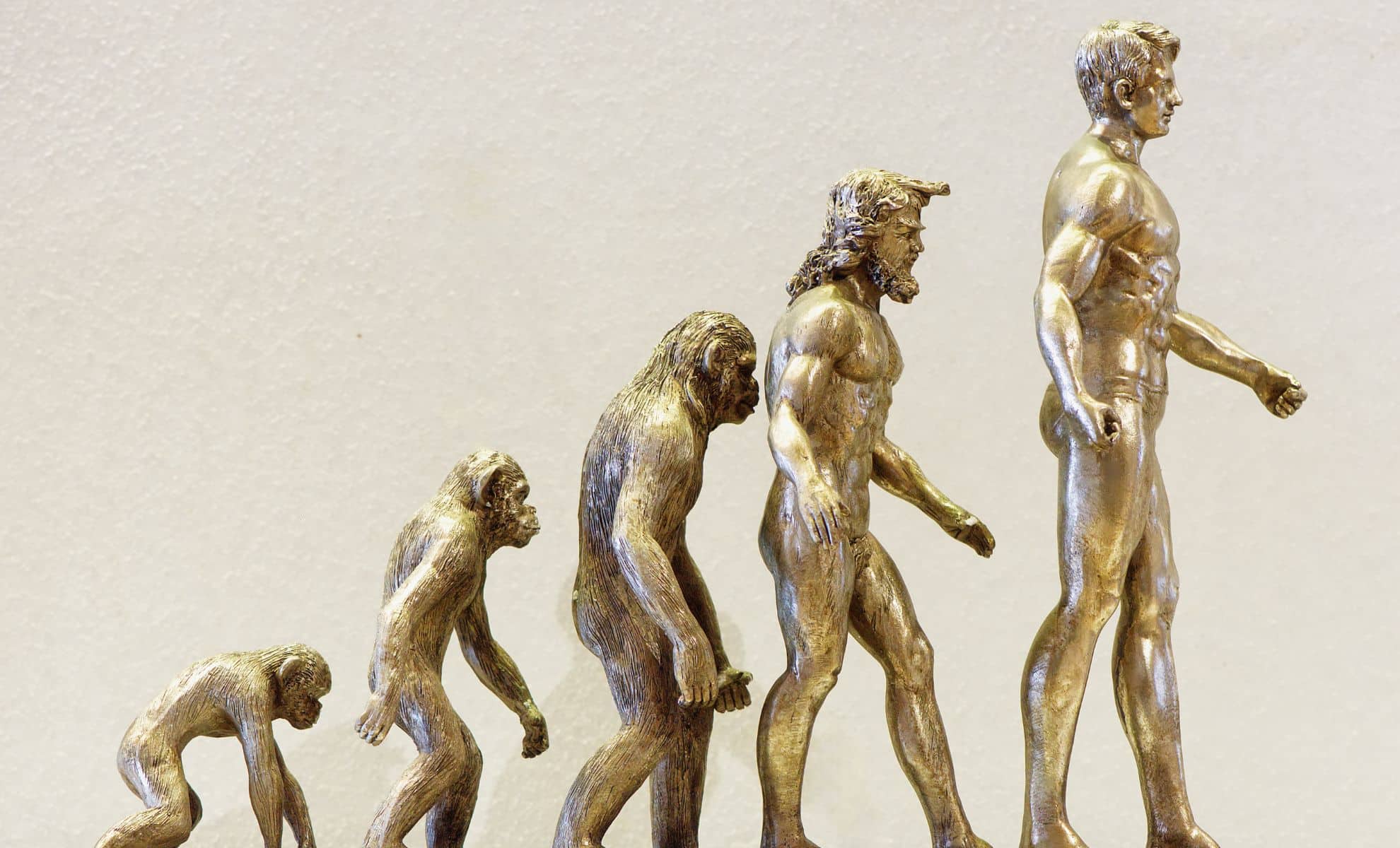 Featured image for New Fossils Rewrite the Evolution of Mammalian Upright Walking