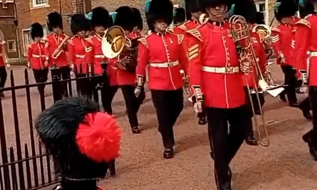 Featured image for King's Guard Breaks Protocol to Acknowledge Miniature Fan