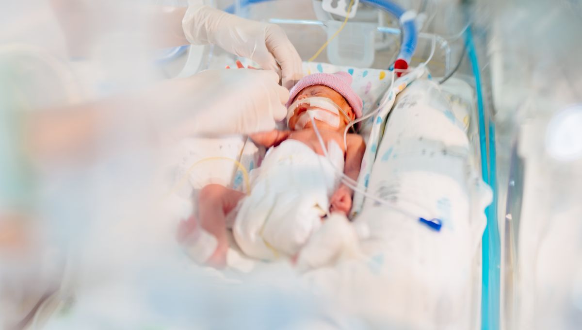 Featured image for "Fentanyl's Impact on Infants: Unveiling a Disturbing Syndrome"