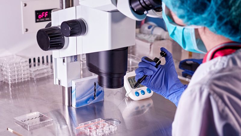 Featured image for "Florida's 'Unborn Child' Bill Stalls Amid IVF and Abortion Policy Concerns"