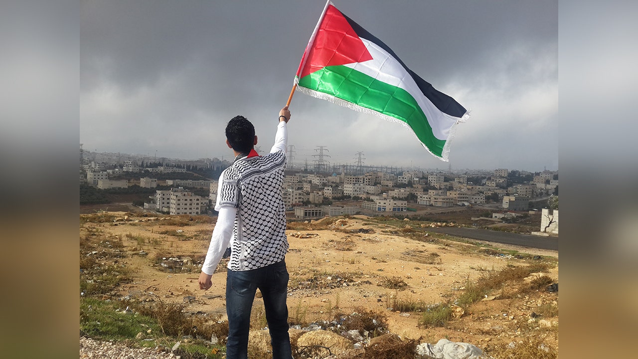 CIA Implements Social Media Guidelines Following Pro-Palestinian Image Incident