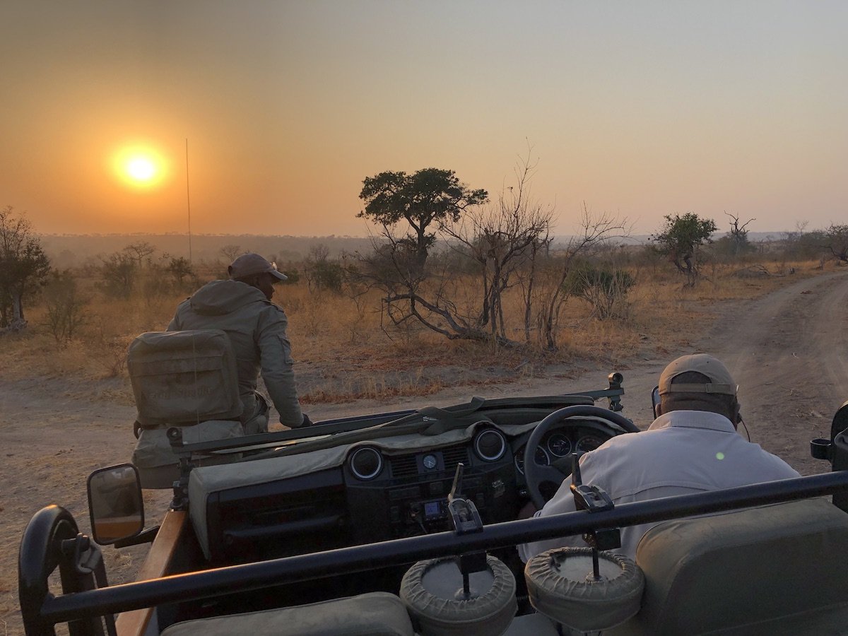 Featured image for "The Surprising Price of Yellow Fever Vaccination"