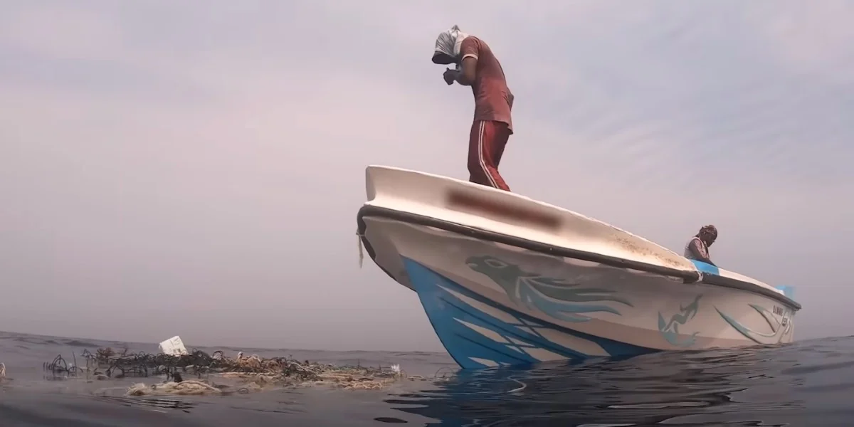 Featured image for Whale Watching Tour Encounters Trash Pile with Trapped Person