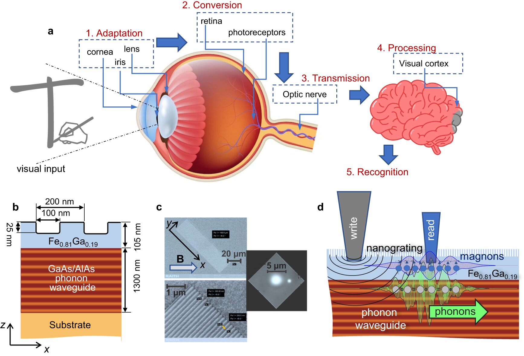 Featured image for "Advancements in Neuromorphic Computing: Mimicking Human Brains with New Hardware and AI Circuitry"