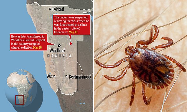 Deadly Congo Fever Outbreak Hits Namibia, Claims Life