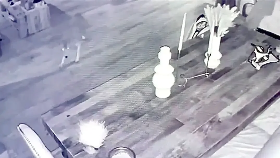 Coyote Invades California Home Through Doggie Door