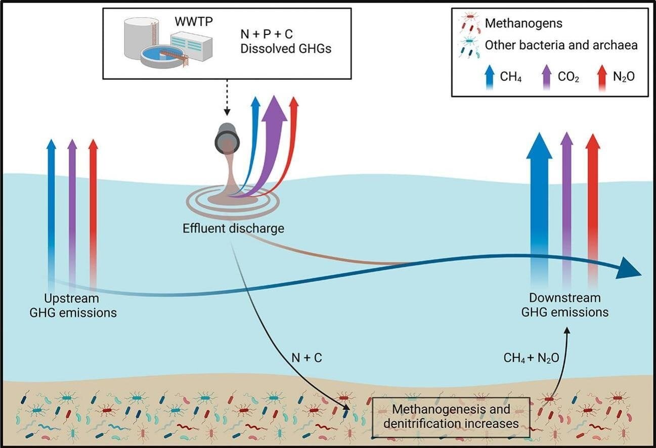 Featured image for Wastewater Treatment Boosts River Methane Emissions Fivefold