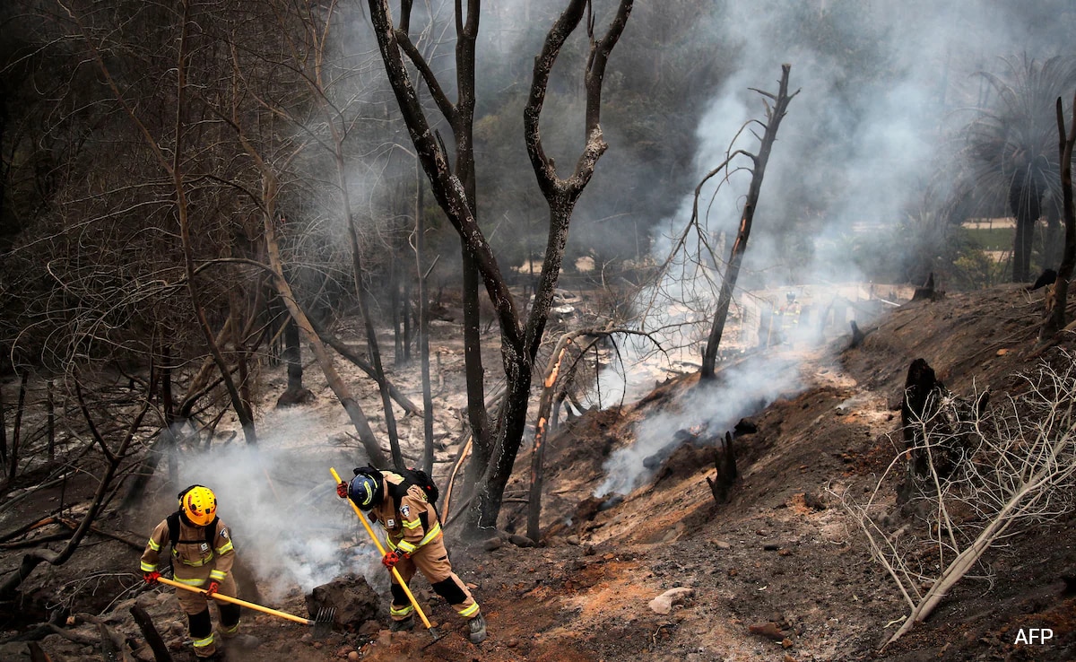 "Chile Wildfires Claim Over 100 Lives, State of Emergency Declared"