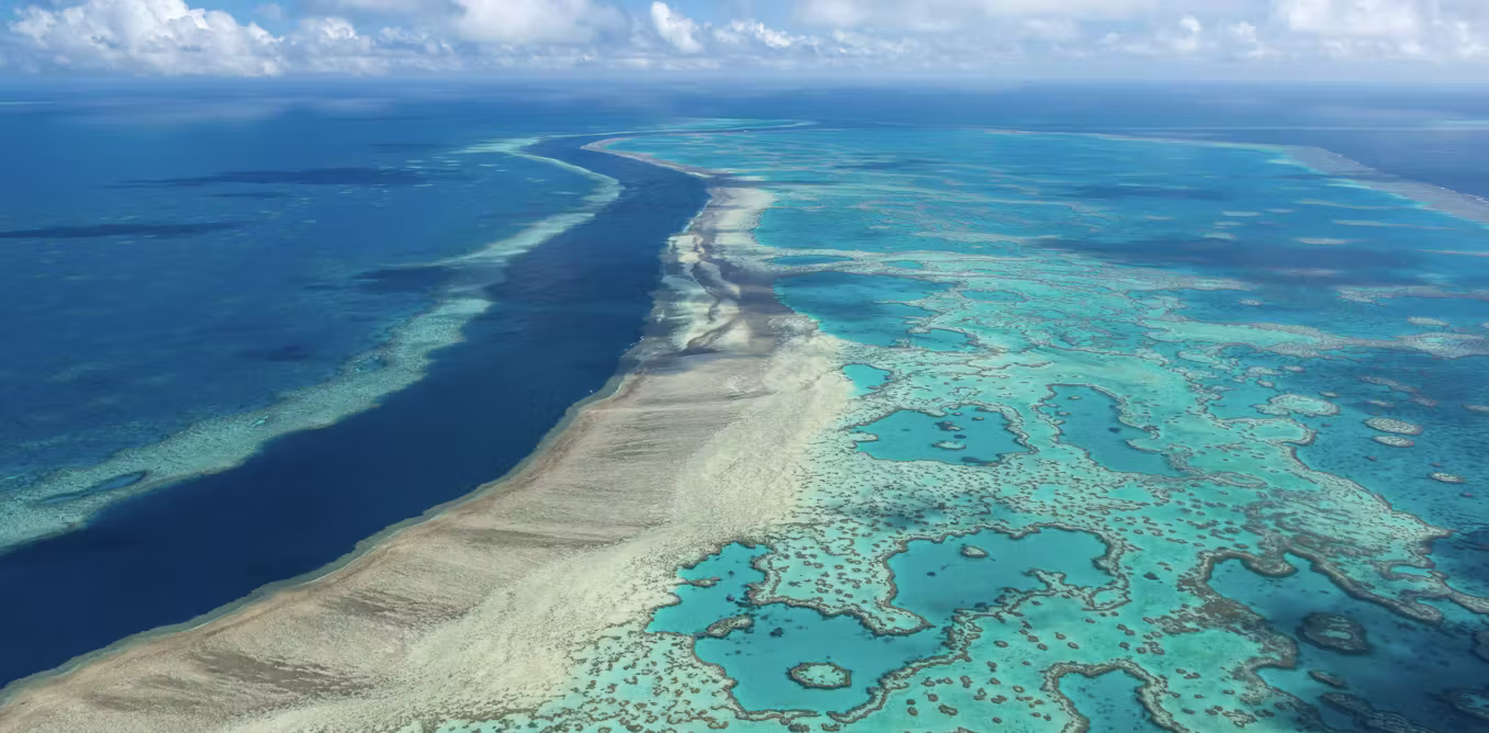 Featured image for Coral Reefs: Key Players in Earth's Climate and Carbon Cycle for 250 Million Years