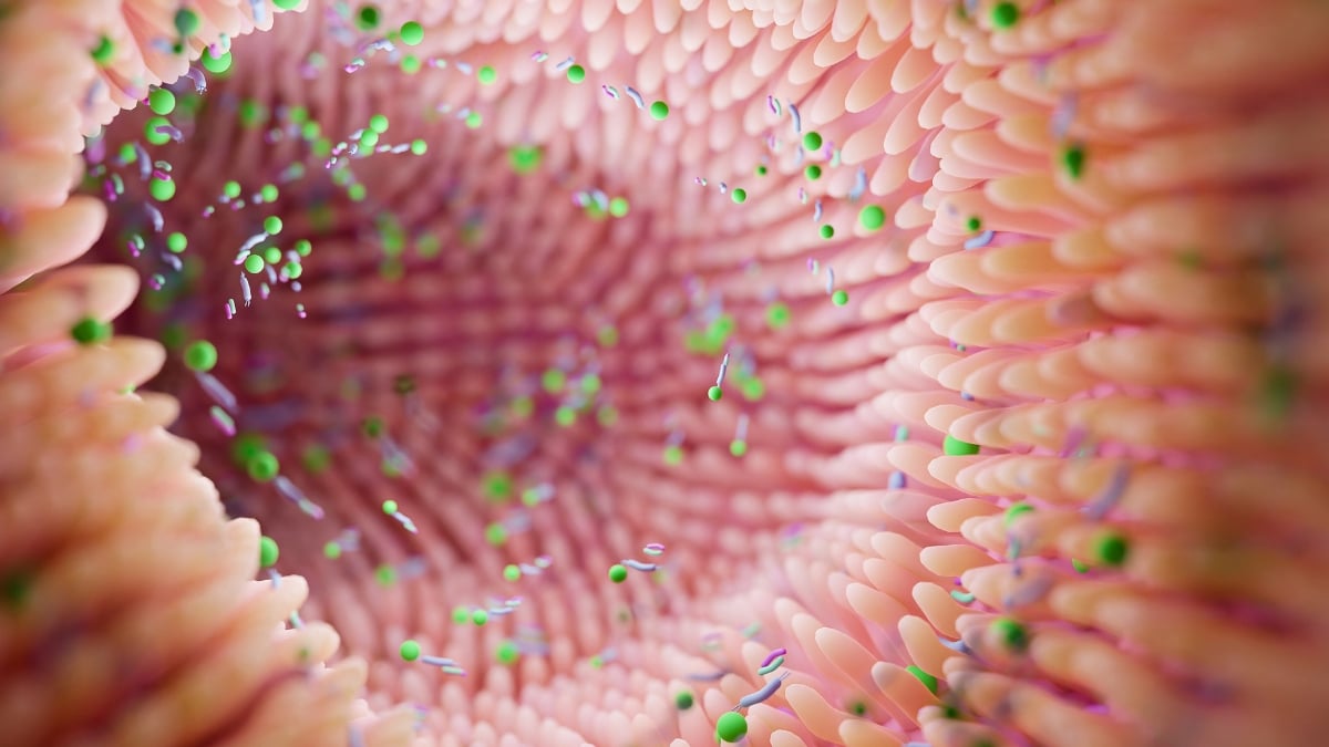 Featured image for Gut Bacteria Found to Influence Bipolar Depression in Mice