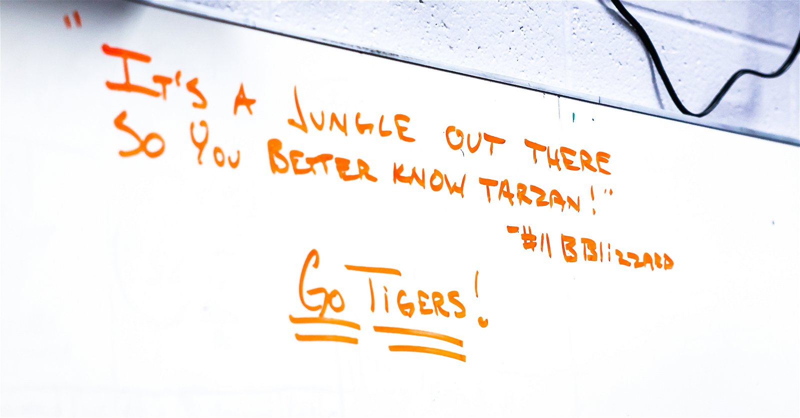 "Baylor Bears Seek Victory Against Clemson Tigers in NCAA Tournament Showdown"