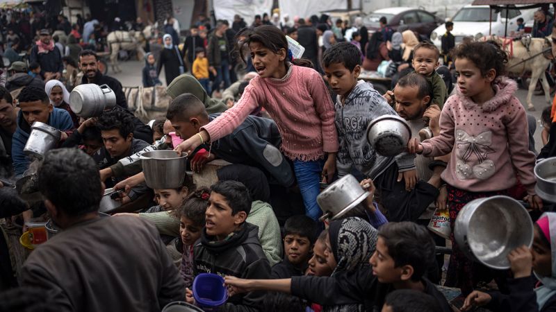 "Gaza's Looming Famine: Palestinians Eating Grass and Drinking Polluted Water"