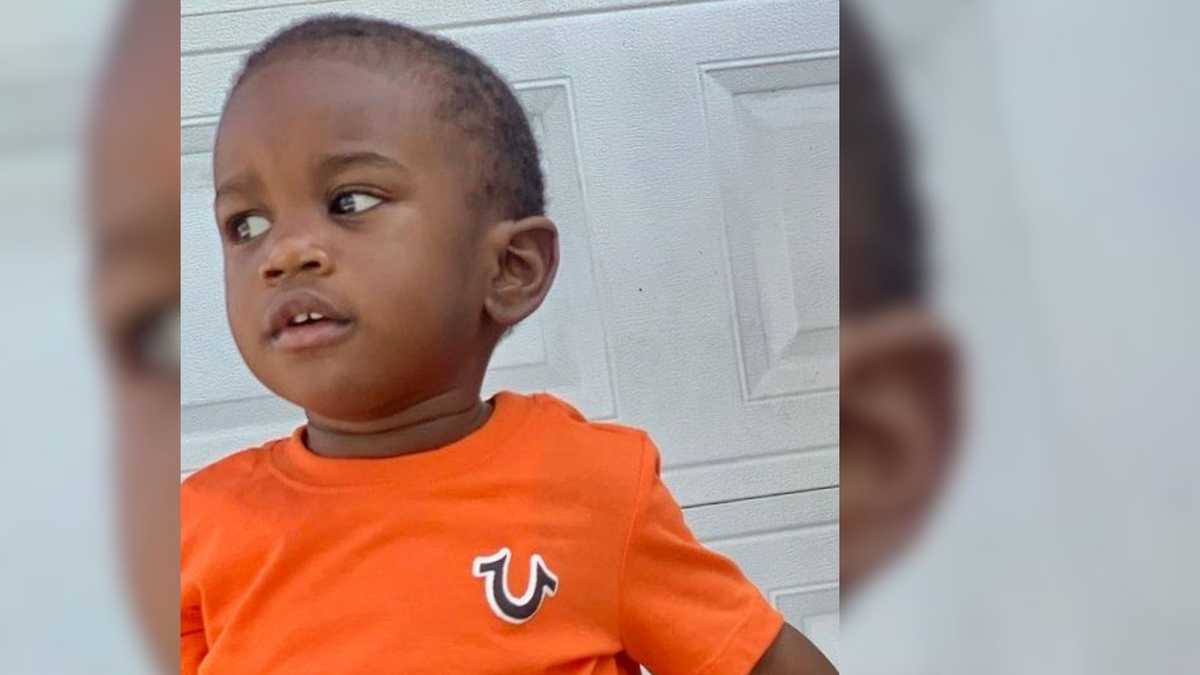 Tragic Discovery: Missing Toddler's Body Found in Alligator's Jaws.